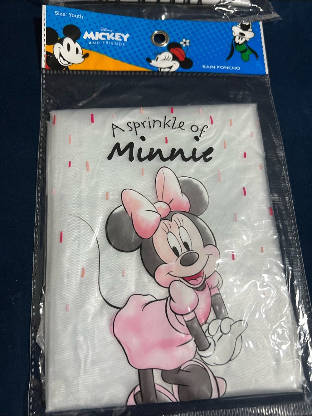 Disney Minnie Mouse Pink and Black Youth Rain Poncho